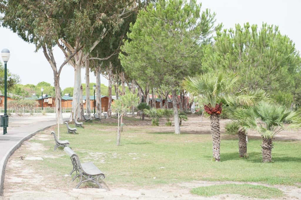 Alojamiento Rural Coto De La Isleta El Puerto de Santa María Zewnętrze zdjęcie