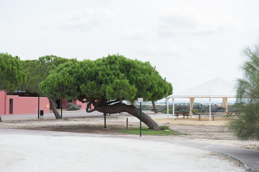 Alojamiento Rural Coto De La Isleta El Puerto de Santa María Zewnętrze zdjęcie