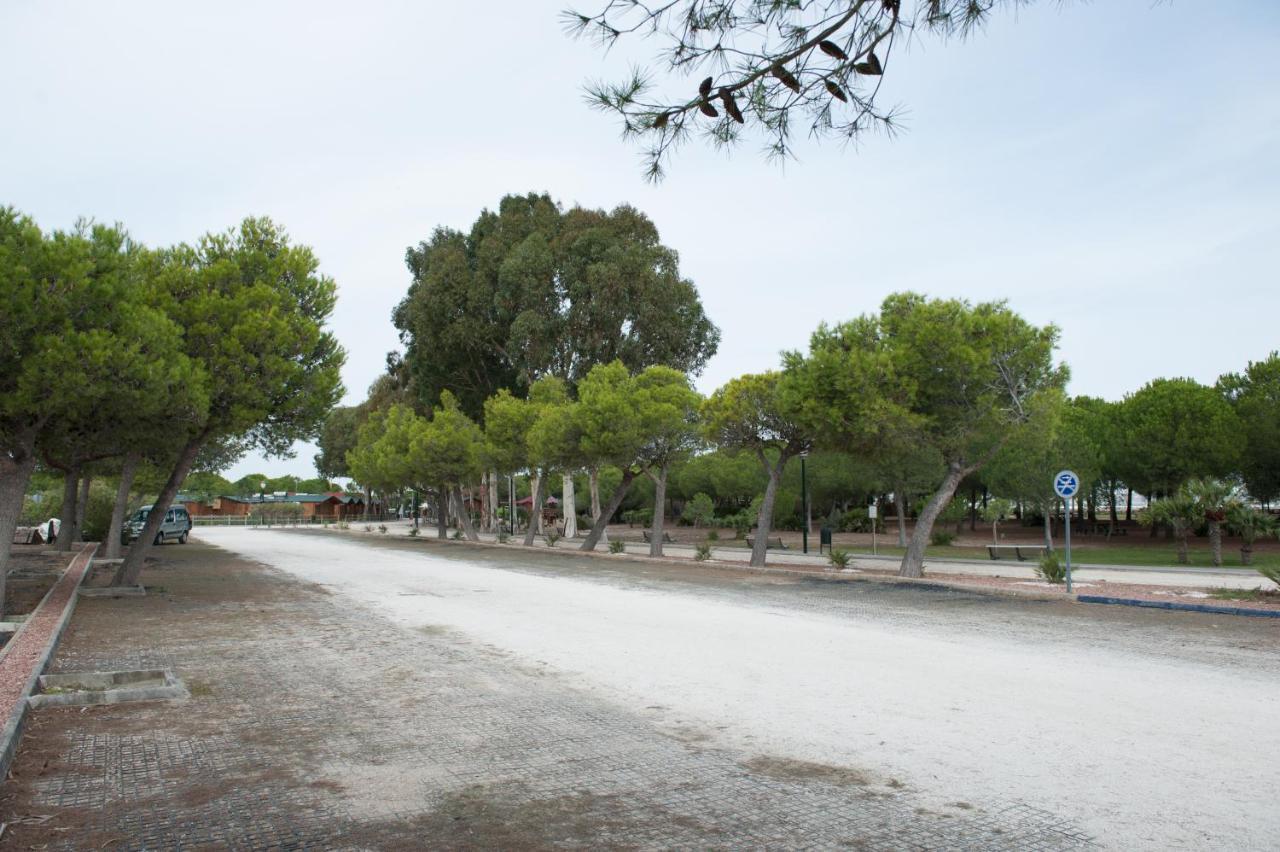 Alojamiento Rural Coto De La Isleta El Puerto de Santa María Zewnętrze zdjęcie