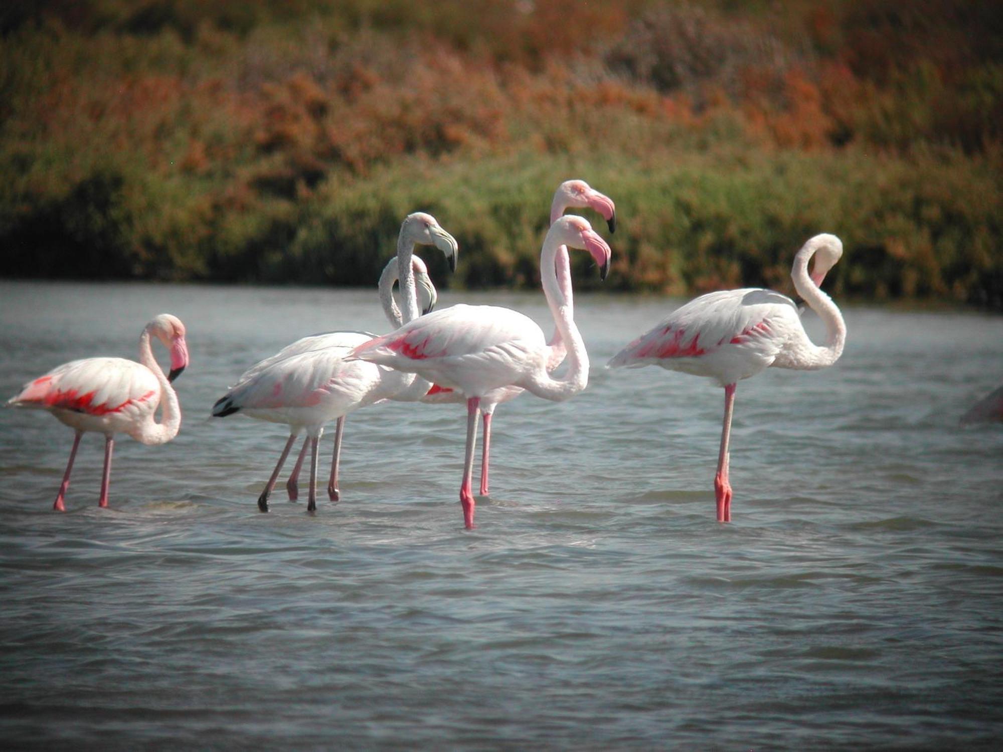 Alojamiento Rural Coto De La Isleta El Puerto de Santa María Zewnętrze zdjęcie